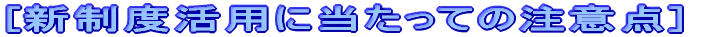 [VxpɓĂ̒ӓ_]